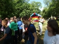 SAM_6449