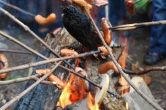 Piknik 2014